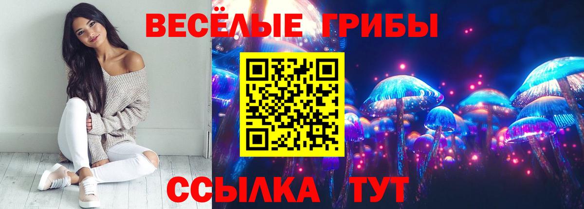 Карпинск  Псилоцибиновые грибы GOLDEN TEACHER  Вход с VPN 