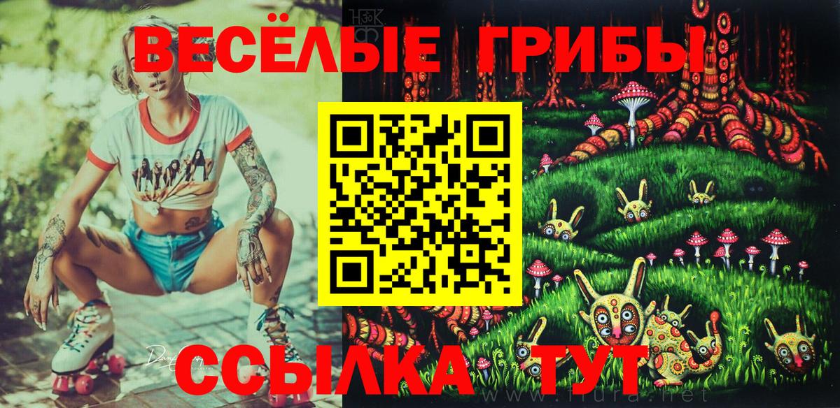 Галлюциногенные грибы Psilocybe Карпинск